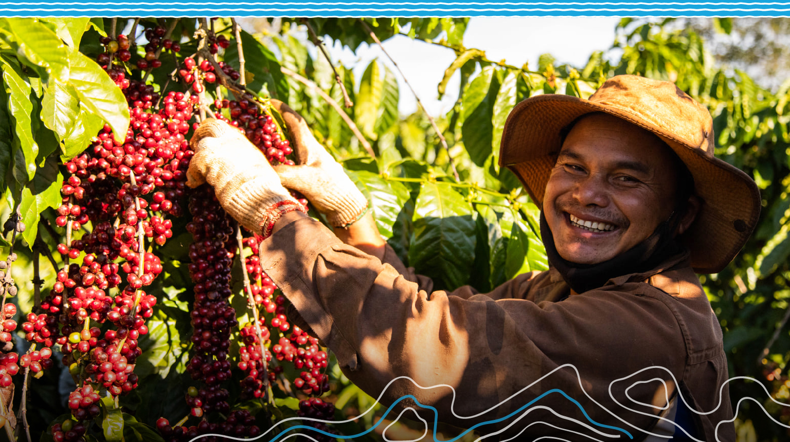 Cà phê Pleiku nồng nàn hương vị hạt Robusta